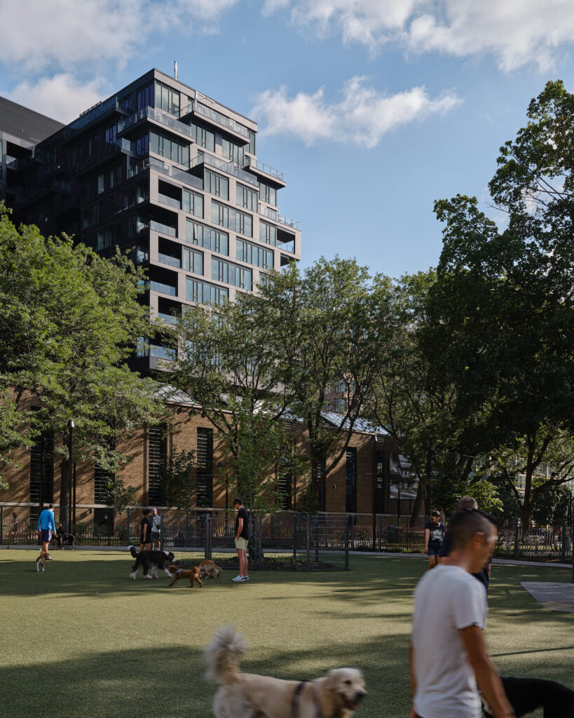 Dogs and people playing at a dog park with Waterworks Food Hall and Waterworks Residences in the background