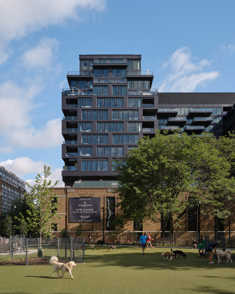 Dogs playing at a dog park with Waterworks Food Hall and Waterworks Residences in the background