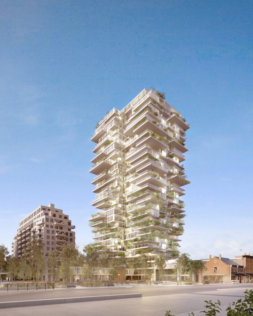 The Summerhill Lands